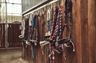deri at bridles ve istikrarlı bir eksik duvarda asılı bit