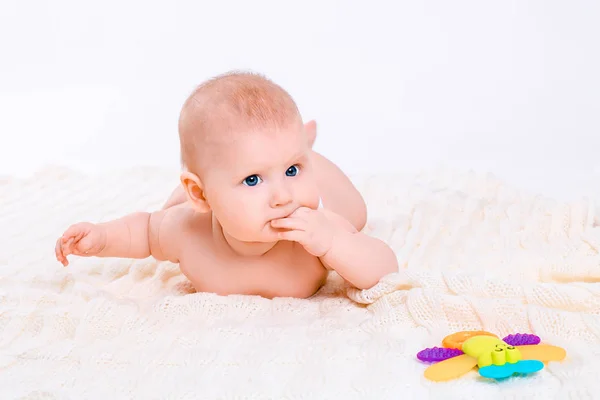 Schattig baby meisje op witte achtergrond — Stockfoto