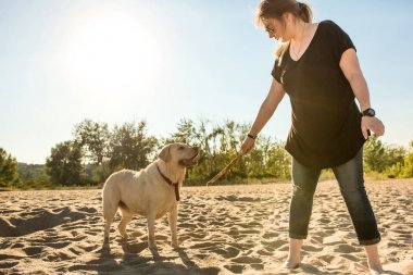 Güneş gözlüğü ile golden retriever köpek kum plajı üzerinde oturan genç güzel kadın portresi. Köpek deniz ile kız.