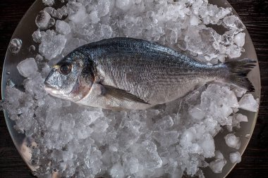 Deniz ürünleri yemek hazırlama. Dorado üstten görünüm buz üstünde.