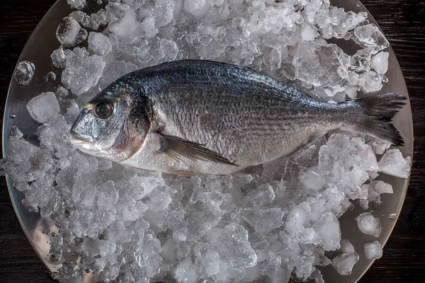 Deniz ürünleri yemek hazırlama. Dorado üstten görünüm buz üstünde.
