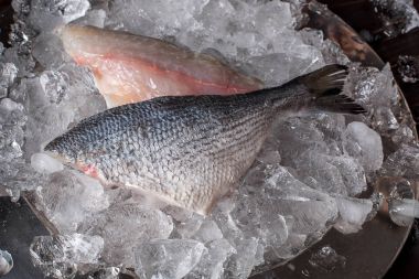 Deniz ürünleri yemek hazırlama. Dorado fileto üstten görünüm buz üstünde.