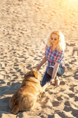 Köpek eğitim. Büyük komik köpek Labrador bir komut - uzan gerçekleştirir ve ödül için bekler. Plaj harika yaz gününde. Güneş parlaması