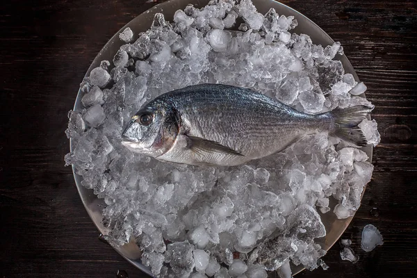Deniz ürünleri yemek hazırlama. Dorado üstten görünüm buz üstünde.