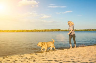 Mutlu genç kadın onun altın geri almak ile bir plaj boyunca gün batımında yürüyüş. Güneş parlaması