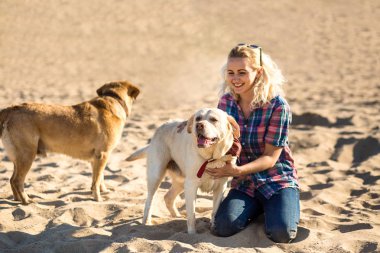Kumsalda oynarken iki labrador arkadaş