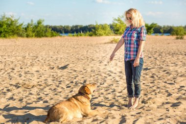 Köpek eğitim. Büyük komik köpek Labrador bir komut - uzan gerçekleştirir ve ödül için bekler. Plaj harika yaz gününde.