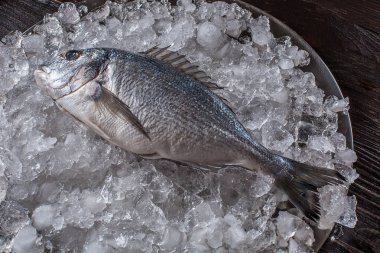 Deniz ürünleri yemek hazırlama. Dorado üstten görünüm buz üstünde.