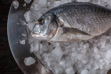 Deniz ürünleri yemek hazırlama. Dorado üstten görünüm buz üstünde.
