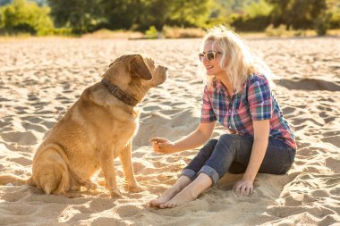 Genç kadın ile onun köpek sahilde