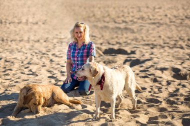 Kumsalda oynarken iki labrador arkadaş