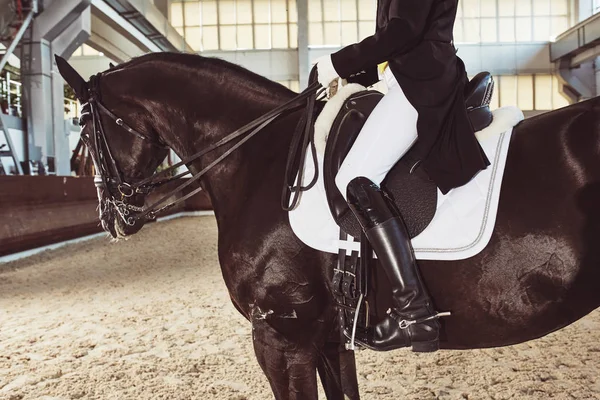 Woman jockey with his horse — Stock Photo, Image