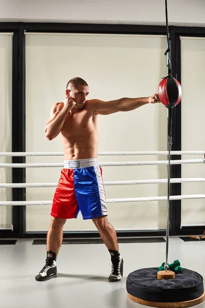 Boxeador joven entrena en el gimnasio — Foto de Stock