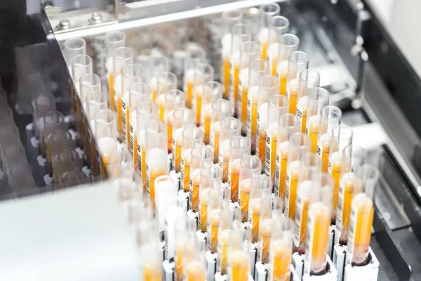 Test-tubes with yellow liquid in the laboratory — Stock Photo, Image