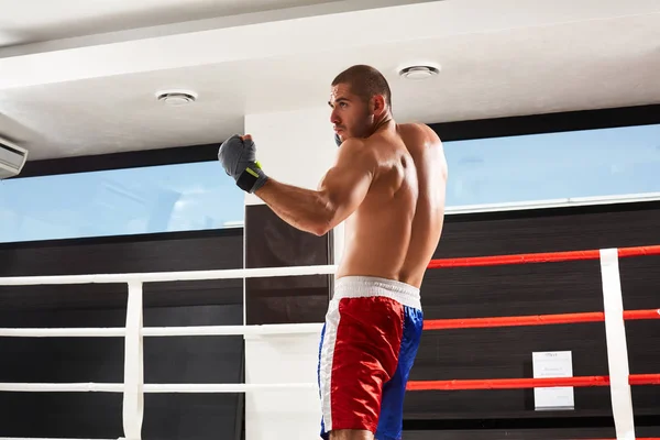 Boxeador con guantes azules calentándose en el gimnasio — Foto de Stock