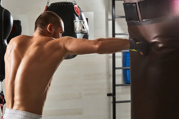 Boxeador joven entrena en el gimnasio —  Fotos de Stock