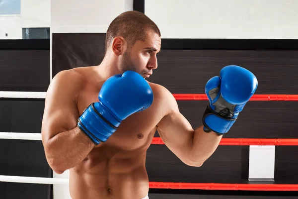 Boxer in blauen Handschuhen — Stockfoto