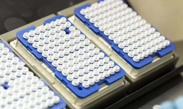 Cam tüpler örnekleri için kümesi. Laboratuvar kimyasal donatımı.