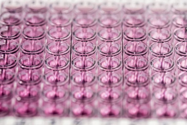 Bipolas cor-de-rosa para investigação — Fotografia de Stock