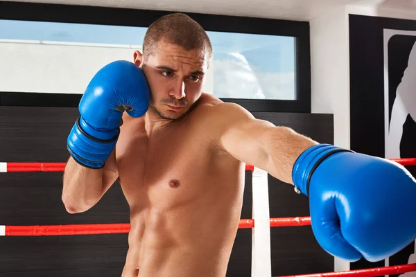 Boxeador en guantes azules — Foto de Stock