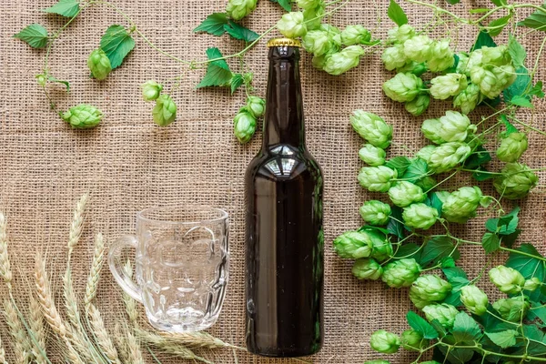 Cerveza de botella y vidrio con ingredientes de elaboración de cerveza. Hop flor con trigo. Vista superior . — Foto de Stock