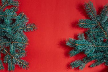 Çam dalları sınır kırmızı zemin üzerine, Noel zemin için iyi