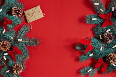 Köknar şube ve hediye kutu kırmızı zemin üzerine