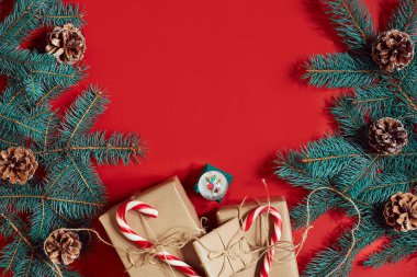 Köknar şube ve hediye kutu kırmızı zemin üzerine