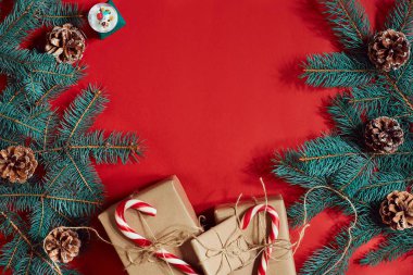 Köknar şube ve hediye kutu kırmızı zemin üzerine