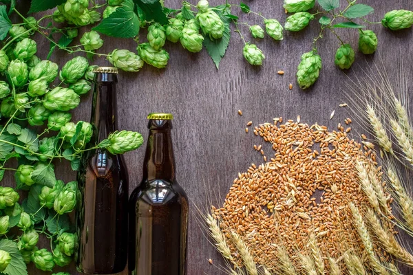 Dos botellas de cerveza con trigo y lúpulo como ingredientes de elaboración en la vista superior y área de espacio de copia — Foto de Stock