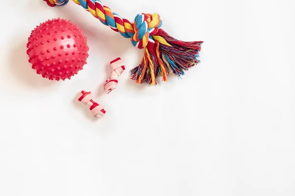 Köpek oyuncak seti: beyaz bir arka plan üzerinde renkli pamuk köpek oyuncak ve pembe top — Stok fotoğraf