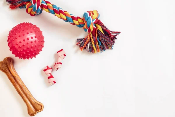 Köpek oyuncak seti: beyaz bir arka plan üzerinde renkli pamuk köpek oyuncak ve pembe top