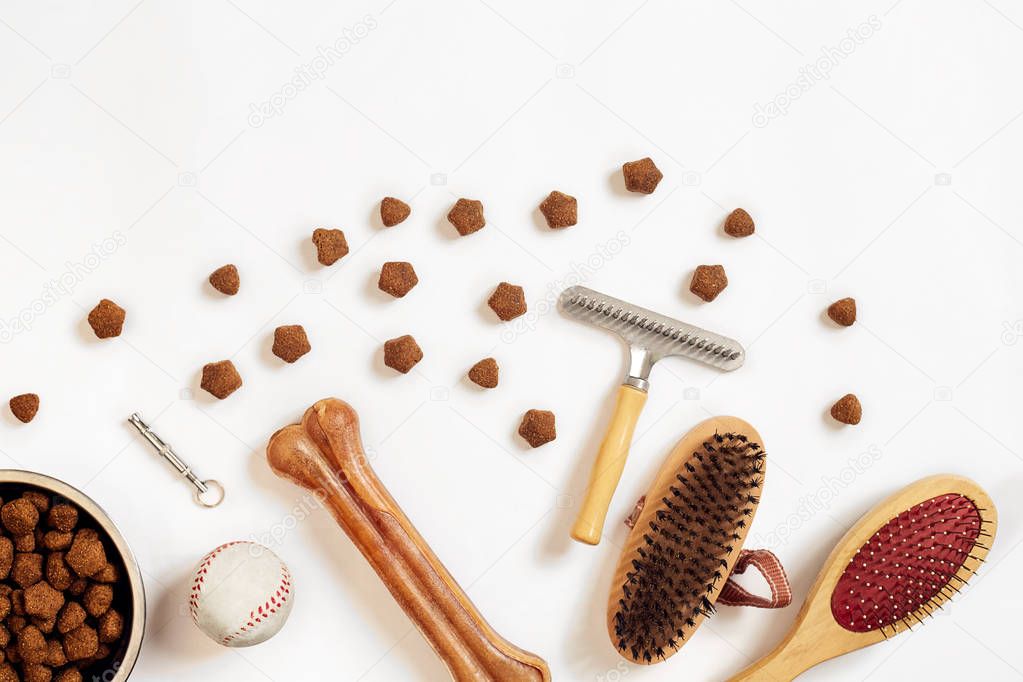 Bowl with food, combs and brushes for dogs. Isolated on white background