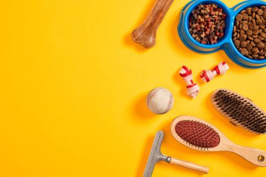 Köpek damat için aksesuarlar. Tarak ve köpekler için fırçalar. Üstten Görünüm