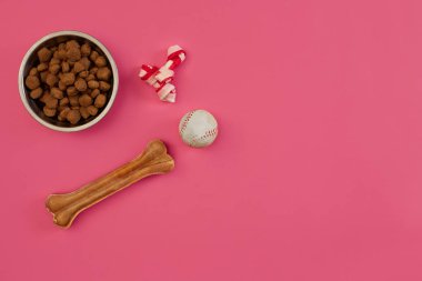 Köpek aperatifler, top oyuncak için kopya alanı ile pembe bir arka plan üzerinde köpek köpek kemikleri, köpek kemiği