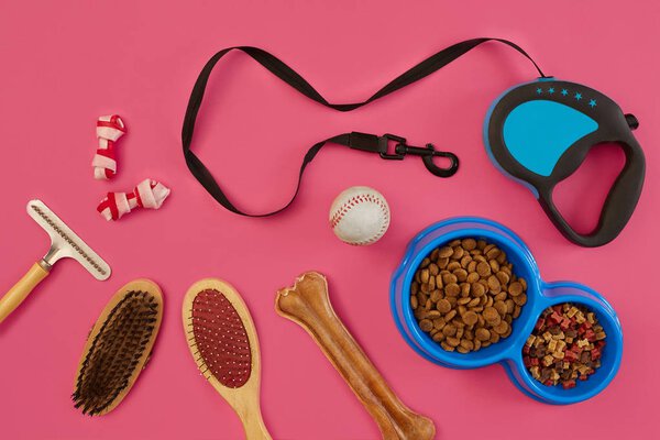 Accessories for the grooming of the dog. Combs and brushes for dogs. Top view