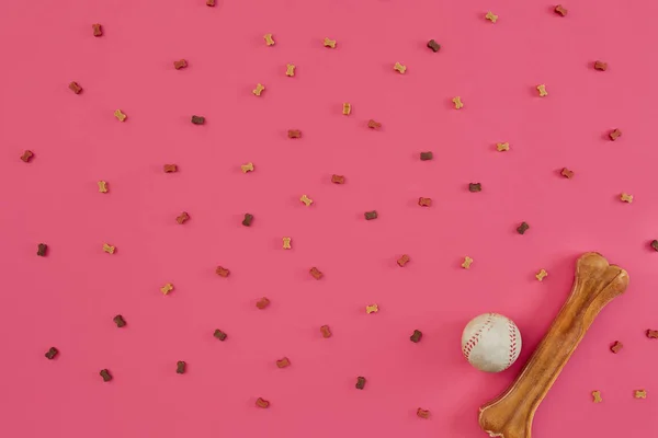 Dry dog food and accessories on pink background — Stock Photo, Image