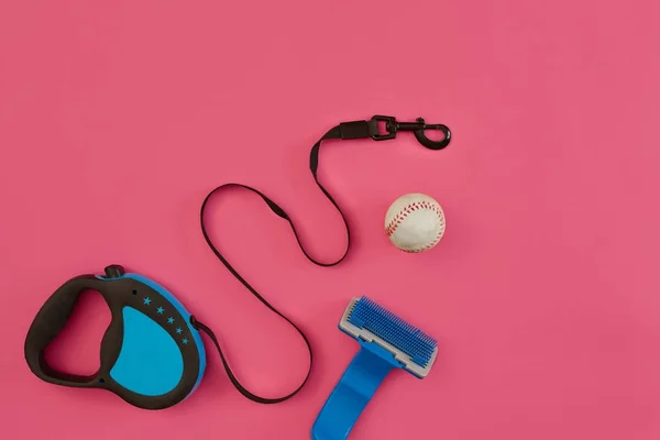 Dog leash and toys on pink background — Stock Photo, Image