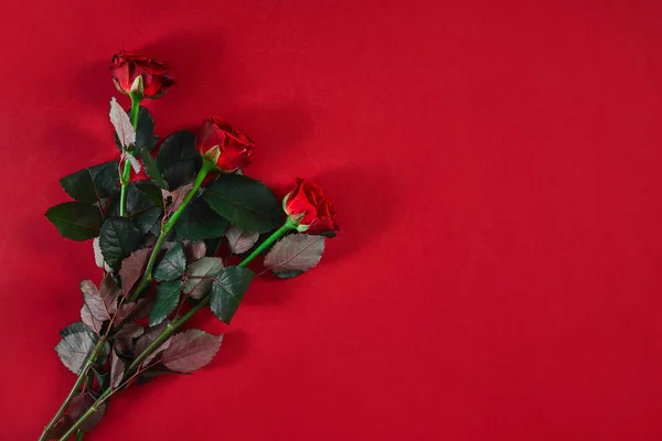 Close-up belo buquê de rosas vermelhas no fundo vermelho para valen — Fotografia de Stock