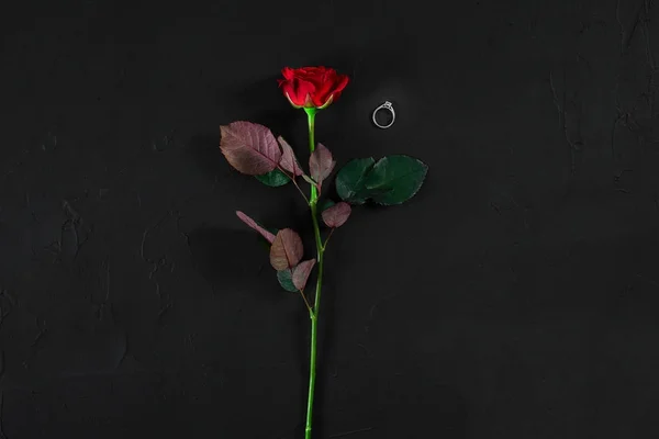 Una rosa roja oscura y el anillo sobre fondo negro. Val romántica — Foto de Stock