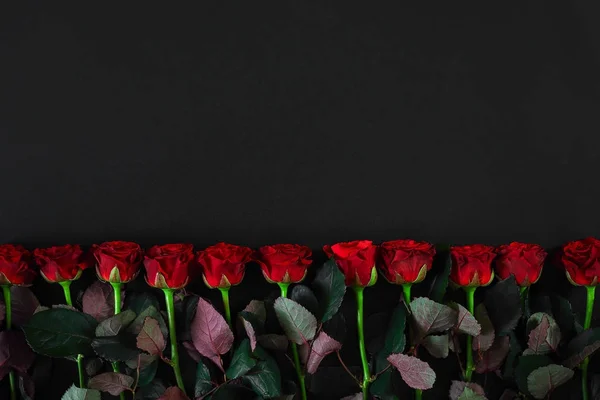 Rode rozen op een zwarte achtergrond. Bovenaanzicht — Stockfoto