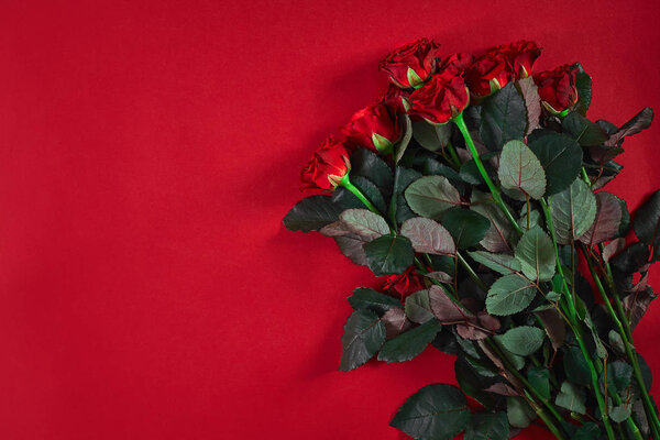Крупный план красивый букет красных роз на красном фоне для valen

