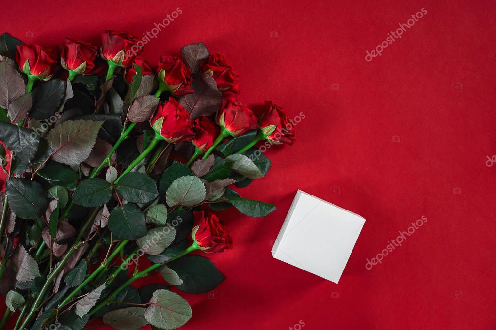 nazarov.dnepr@gmail.com