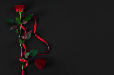 Üzerinde siyah bac ile kırmızı kurdele ve yüzük kutusuyla bir koyu kırmızı gül
