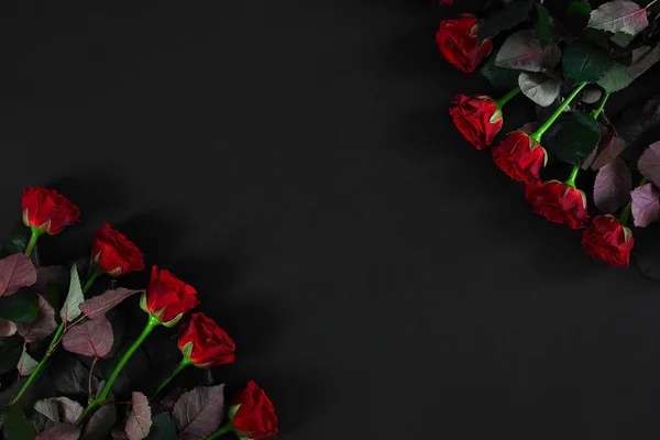 Rode rozen op een zwarte achtergrond. Bovenaanzicht — Stockfoto