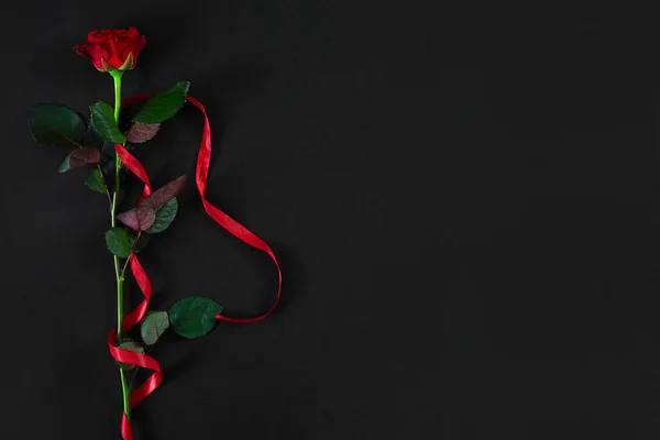 Una rosa roja oscura con cinta roja sobre fondo negro. Romántico — Foto de Stock