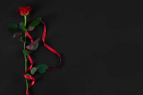 Bir koyu kırmızı, siyah zemin üzerine kırmızı kurdele ile yükseldi. Romantik