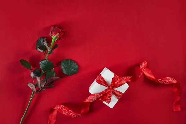 한 진한 빨강색 빨간색 배경에 빨간색 리본 및 선물 상자 장미 — 스톡 사진