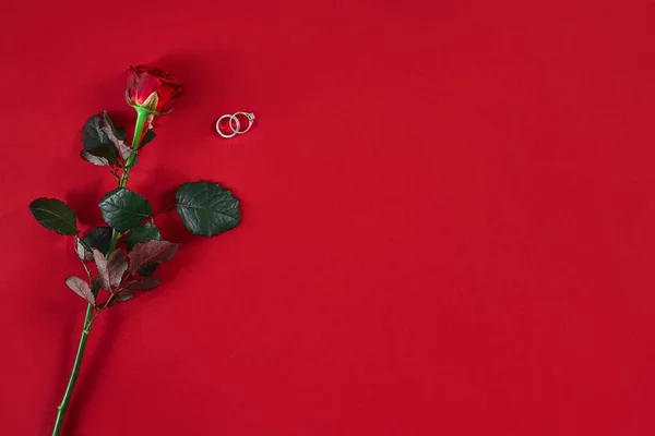 Una rosa roja oscura y un anillo sobre fondo rojo. San Valentín romántico — Foto de Stock