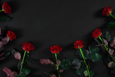 Siyah bir zemin üzerine kırmızı gül. Üstten Görünüm